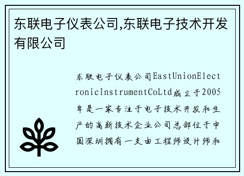 东联电子仪表公司,东联电子技术开发有限公司